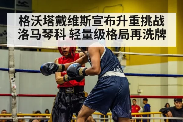 格沃塔戴维斯宣布升重挑战洛马琴科 轻量级格局再洗牌