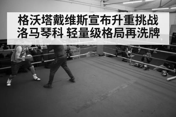 boxer training gym