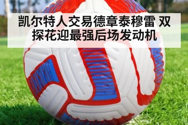 凯尔特人交易德章泰穆雷 双探花迎最强后场发动机