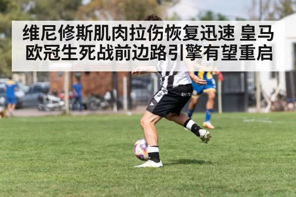 维尼修斯肌肉拉伤恢复迅速 皇马欧冠生死战前边路引擎有望重启